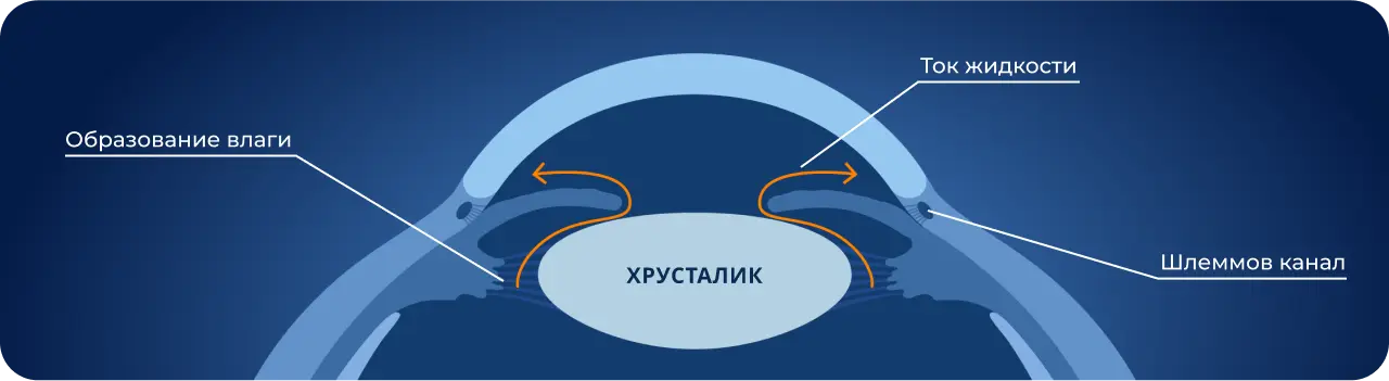циркуляция жидкости в глазу