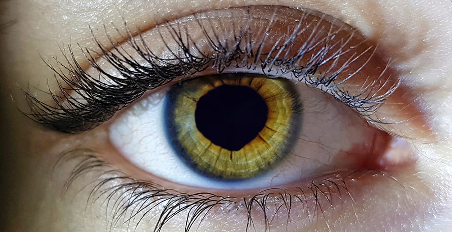 Колебания зрачков при саккадах связали с механическими свойствами глаза